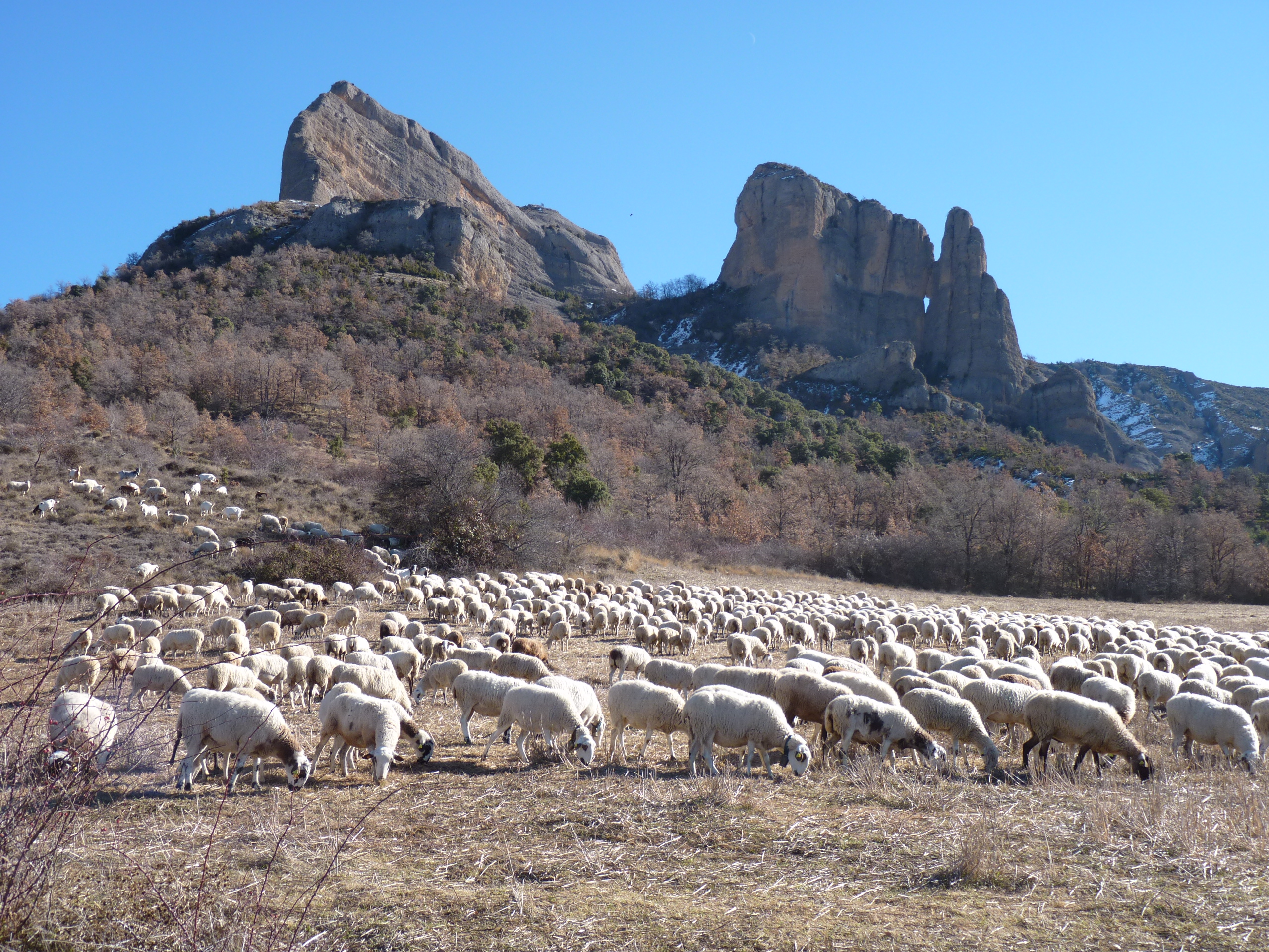 Pallars Jussà Visit Pirineus